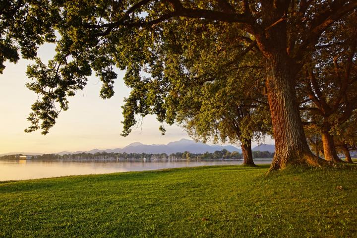 Badeplatz Schöllkopf