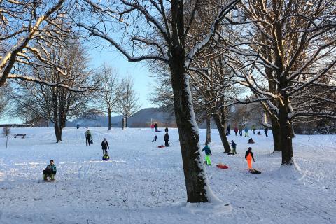 Rodeln_im_Kurpark